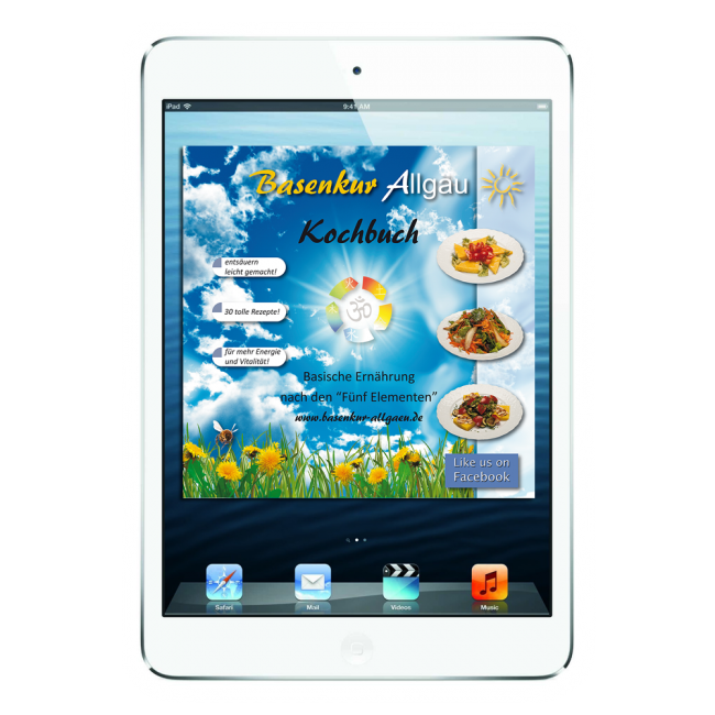 Basenkur Kochbuch ebook