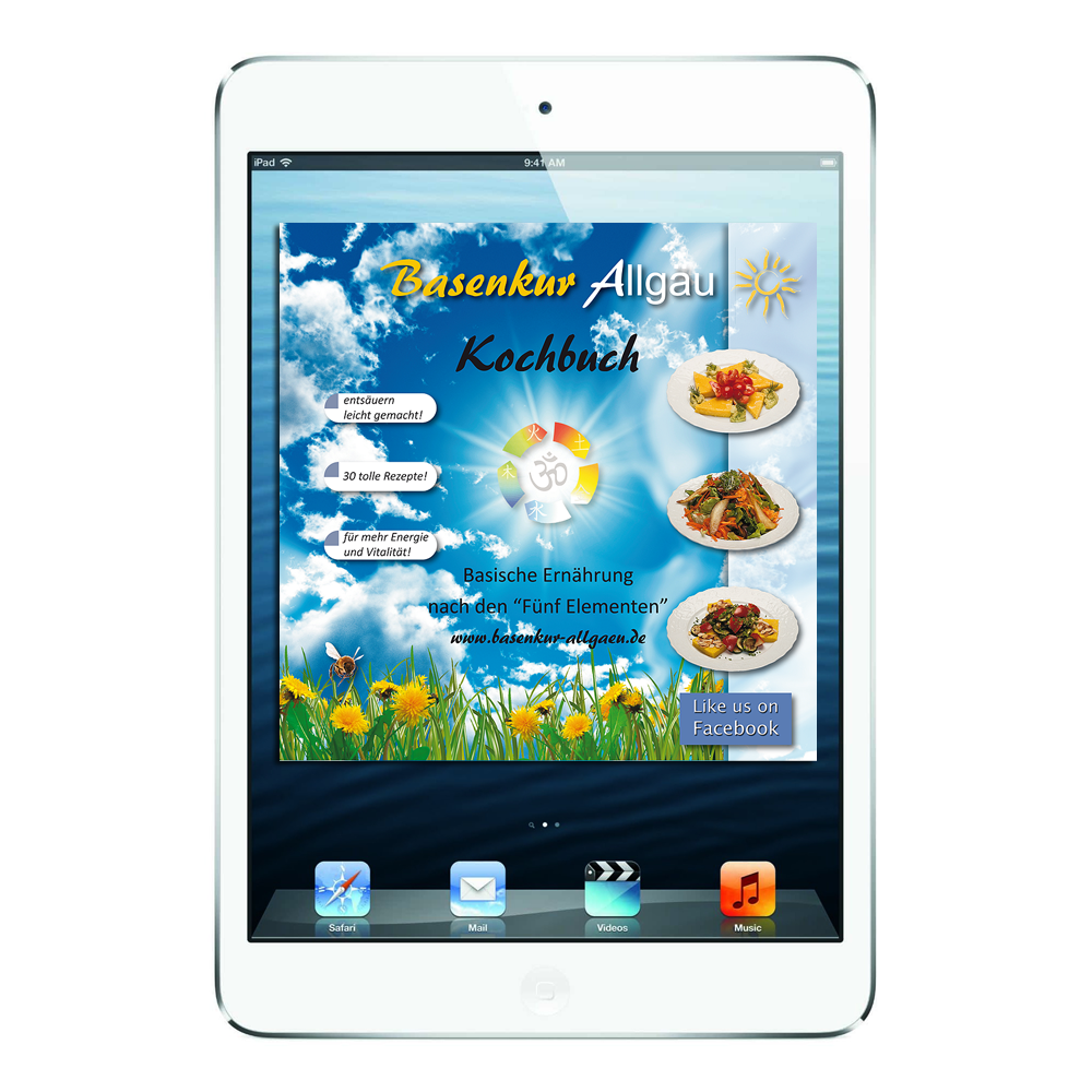 Basenkur Kochbuch ebook