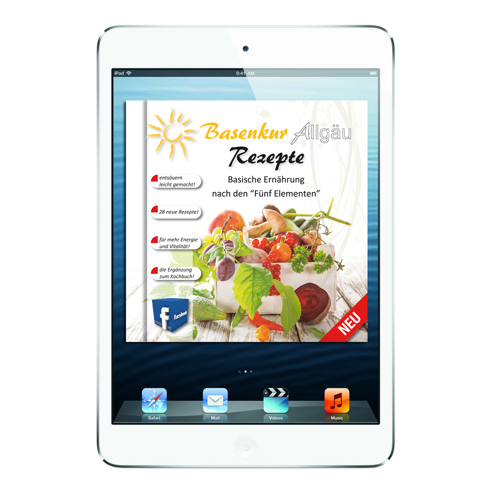 Basenkur Rezepte ebook