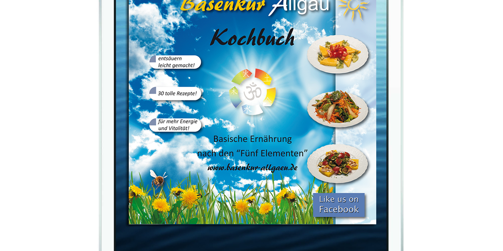 Basenkur Kochbuch ebook